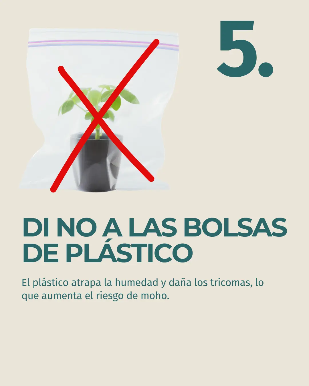 Imagen del producto 8