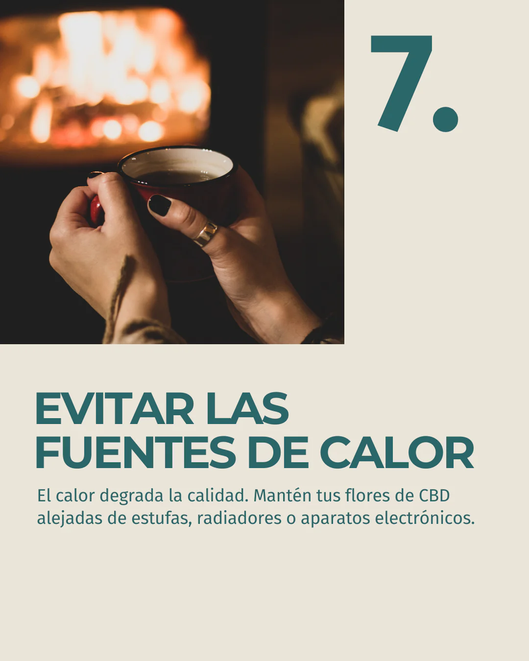 Imagen del producto 10