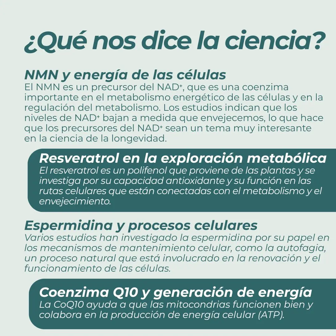 Imagen del producto 7