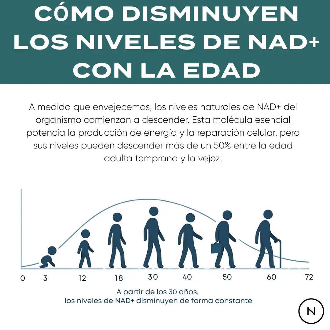 Imagen del producto 8
