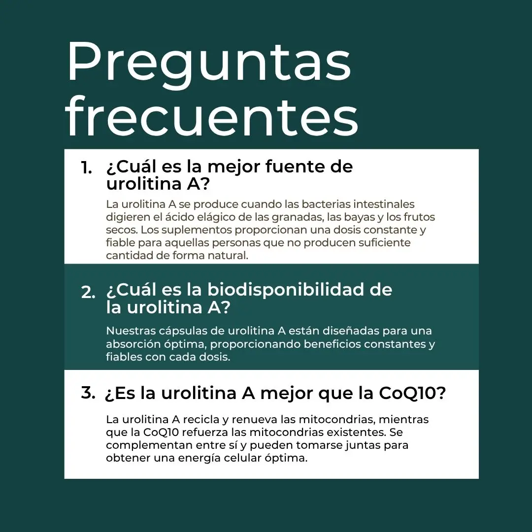 Imagen del producto 7